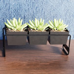 Gradilla Cuadrada x3