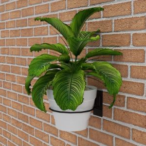 Soporte sencillo de pared