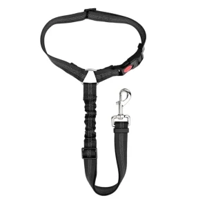 Correa Leash Para Mascotas Pro Outdoor 180 Unidades