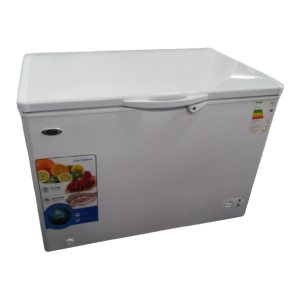Freezer BD300