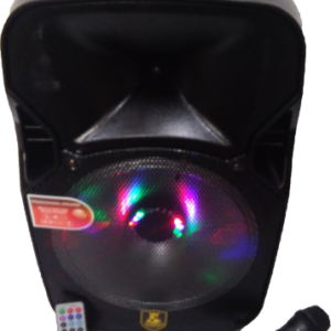 Parlante activo 12″