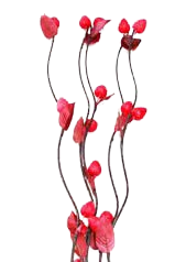 Frutillas  5 unidades